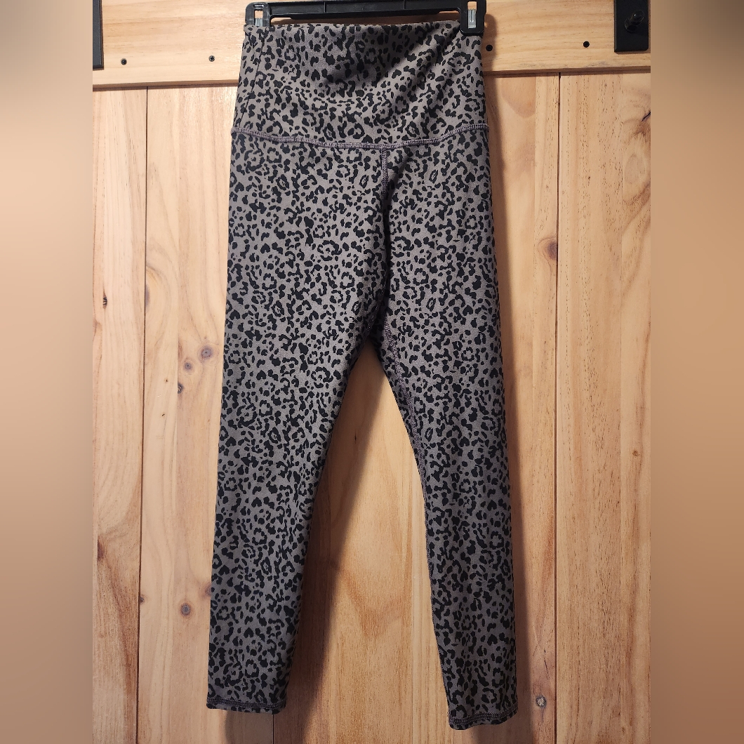 Evolution & Creation Workout Pants